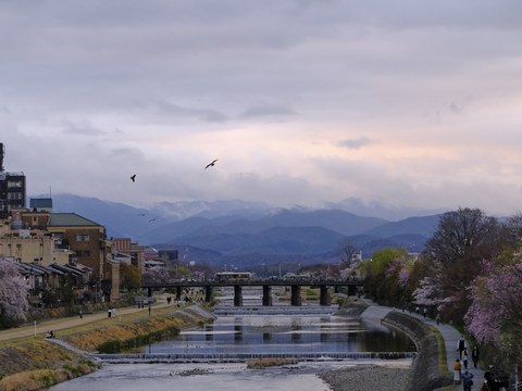 DSCF1030.jpg
