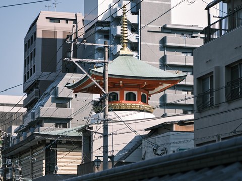 DSCF2853.jpg