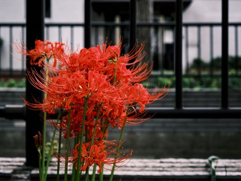 DSCF3183.jpg